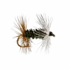 RIO Renegade Fly (12 Count) -Online Angling Store 1167219 800 auto