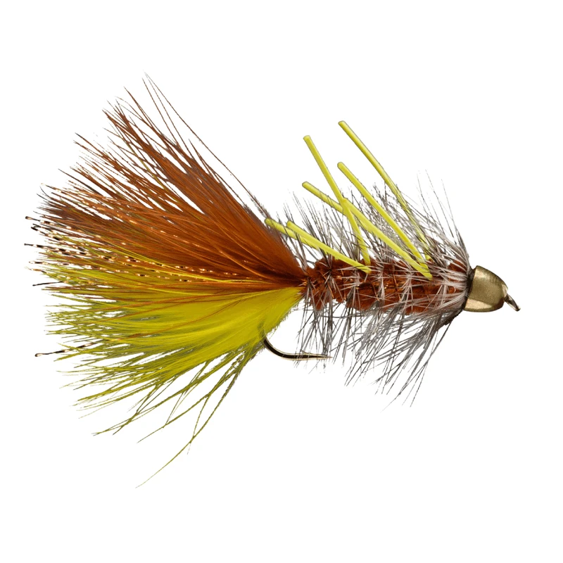 RIO CH RL JJ Special Fly 3 RIO CH RL JJ Special Fly
