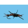 Solitude Fly Tungsten Brown Stone Fly (12 Count) 2 Solitude Fly Tungsten Brown Stone Fly (12 Count) -Online Angling Store 1291146 800 auto