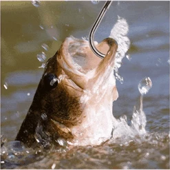 Hawkeye Marine Sonic Laser Scale SP 13 Hawkeye Marine Sonic Laser Scale SP -Online Angling Store 1307049 800 auto