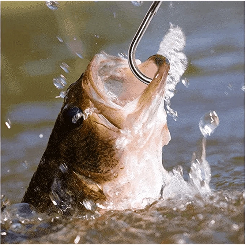 Hawkeye Marine Sonic Laser Scale SP 7 Hawkeye Marine Sonic Laser Scale SP - Image 5