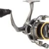 Lew's Pro Speed Spinning Reel