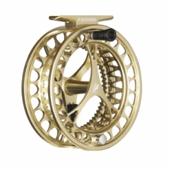 Sage Click Series Spool -Online Angling Store 947574 800 auto